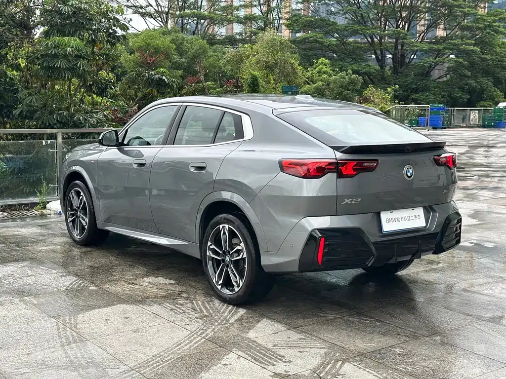 BMW X2 (Import) — миниатюра 11