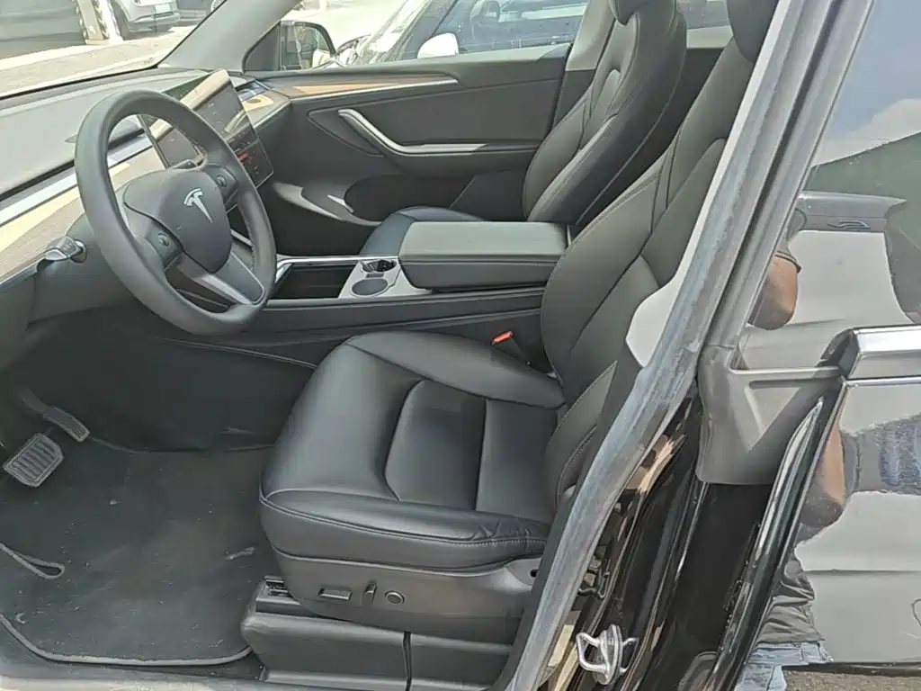 Tesla Model Y — миниатюра 11