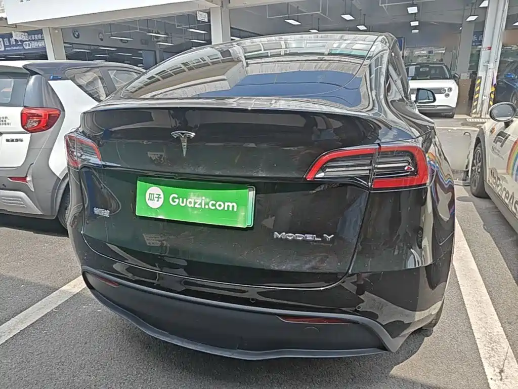 Tesla Model Y — миниатюра 4