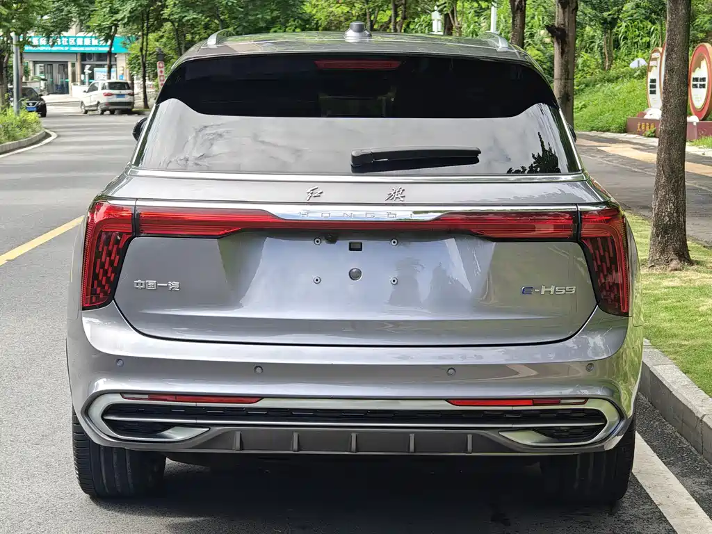 Hongqi E-HS9 2021 460km мест