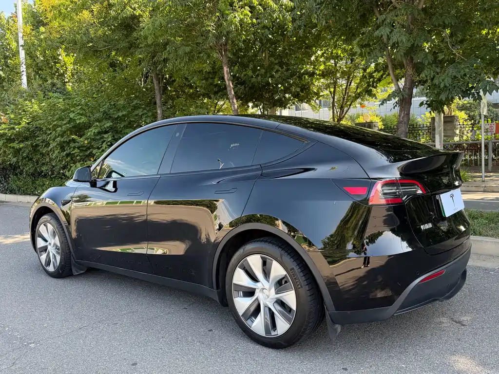 Tesla Model Y — миниатюра 23