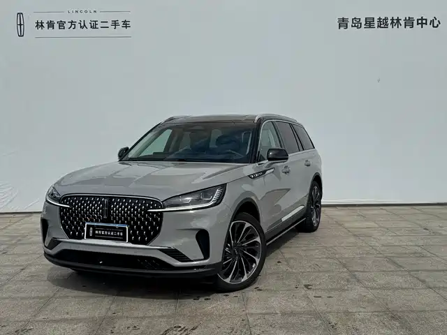 LINCOLN FLYING HOME 2024