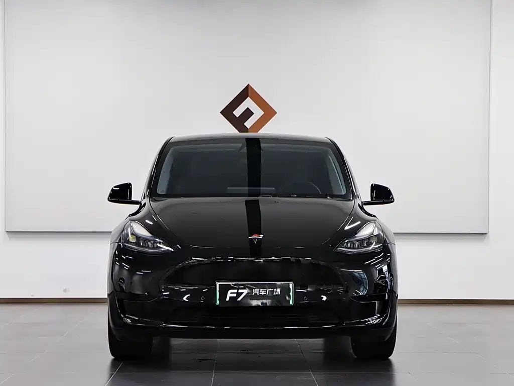 Tesla Model Y — миниатюра 2