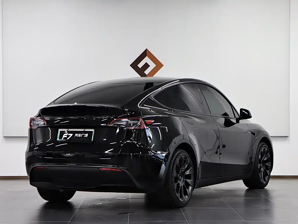 Tesla Model Y — миниатюра 6