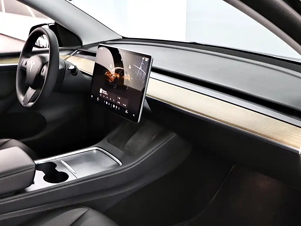 Tesla Model Y — миниатюра 13