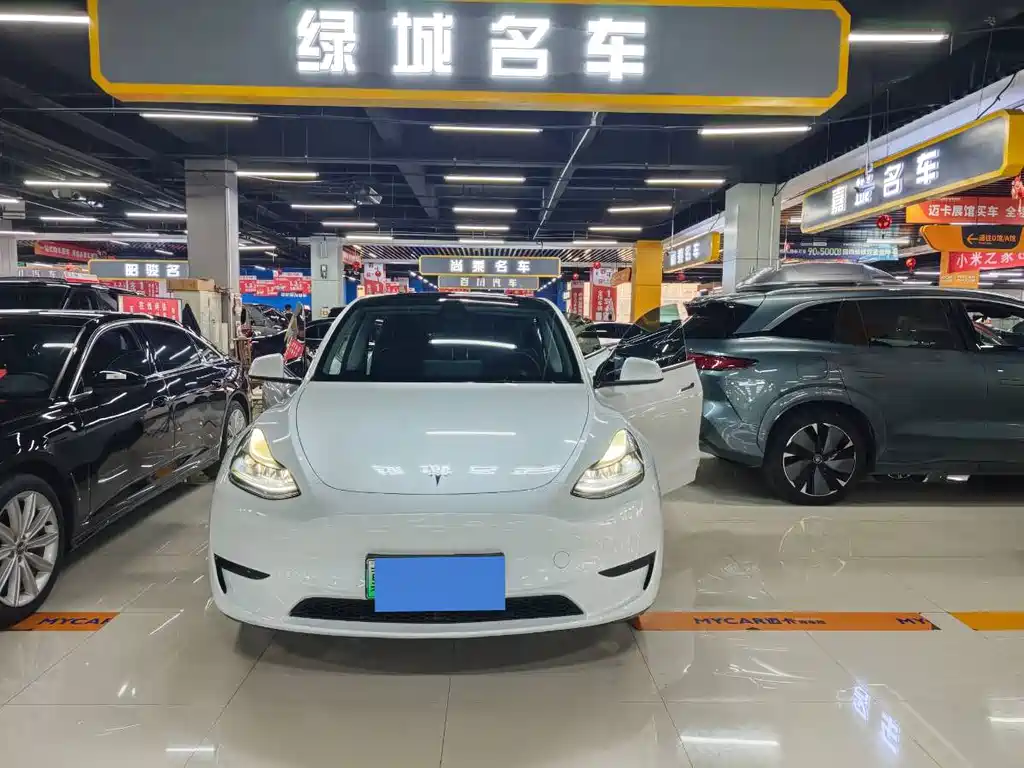 Tesla Model Y — миниатюра 16