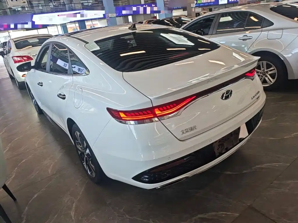 Hyundai Fista — миниатюра 5
