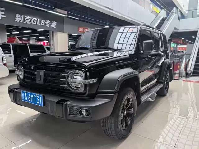 2024 TANK 300