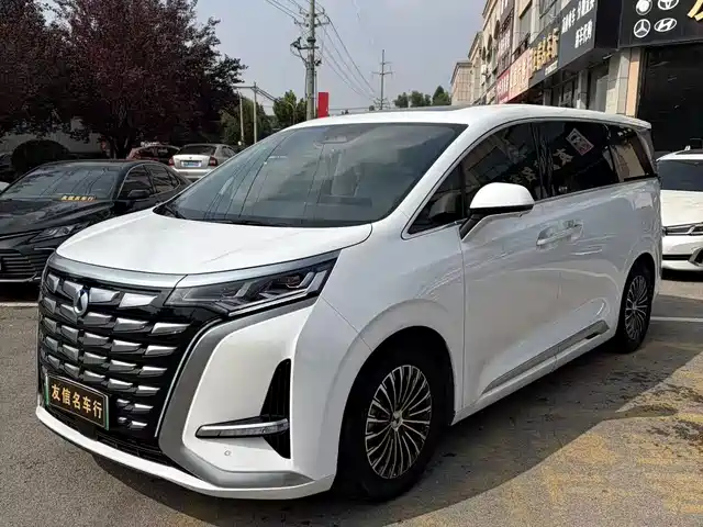 Denza D9