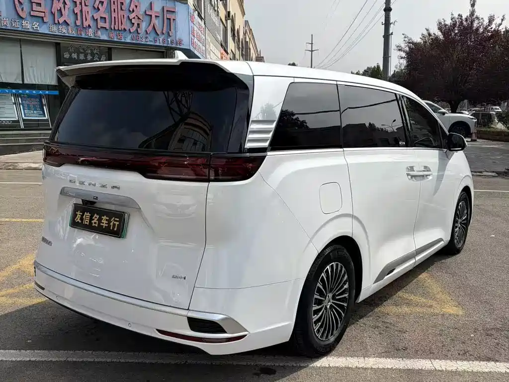 Denza Denza D9 — миниатюра 6