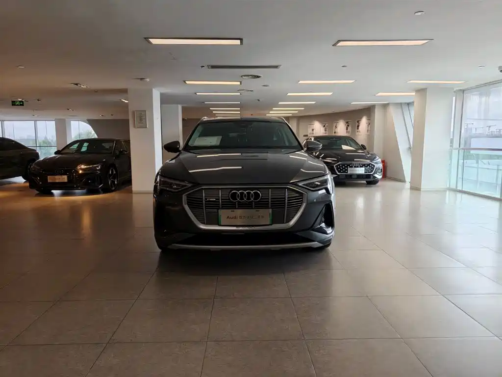 Audi e-tron (Import) — миниатюра 2