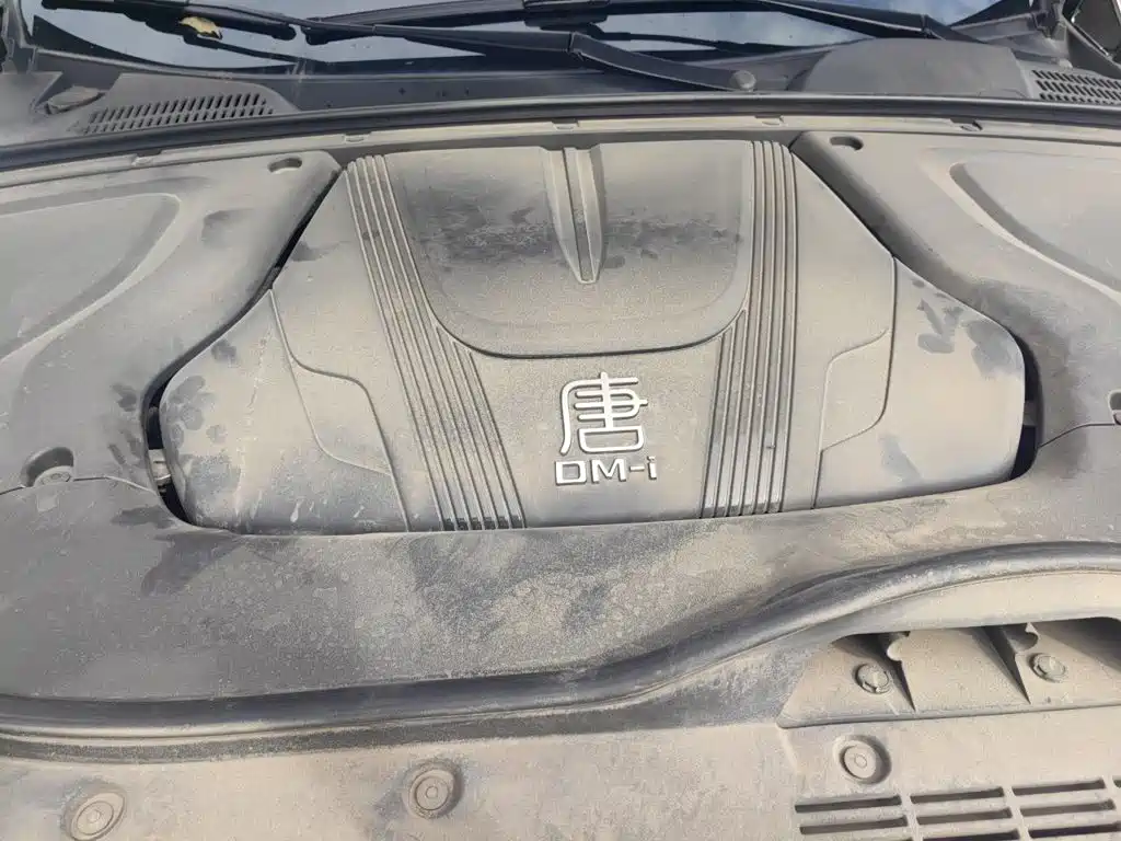 BYD Tang New Energy — миниатюра 16