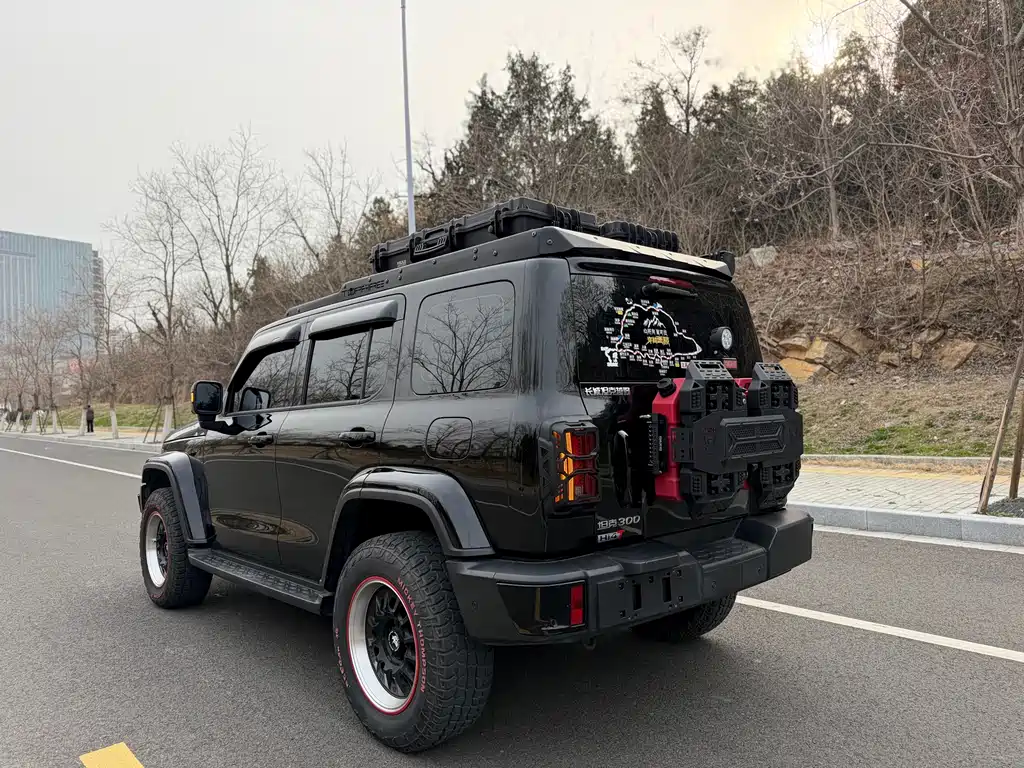 TANK TANK 300 NEW ENERGY