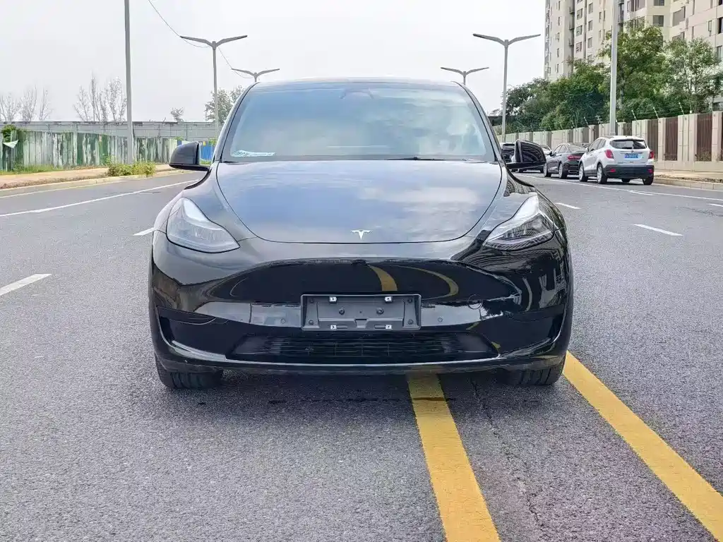 Tesla Model Y — миниатюра 2