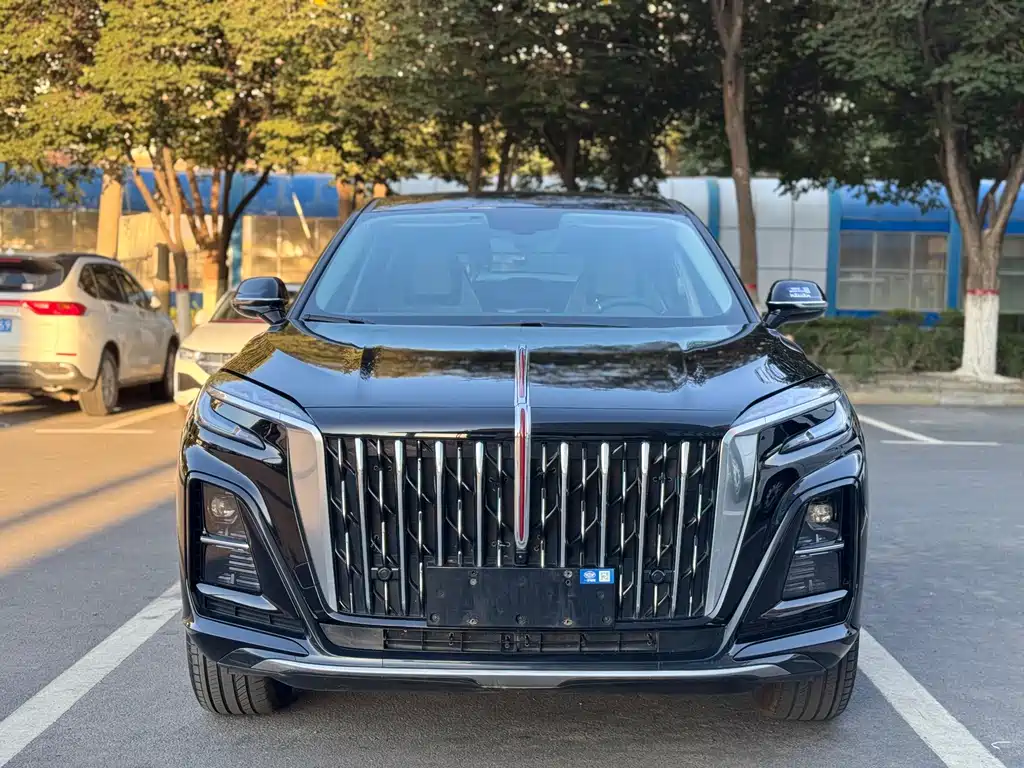 Hongqi Hongqi HS3 — миниатюра 2