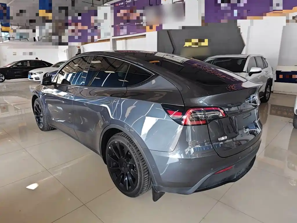 Tesla Model Y — миниатюра 5