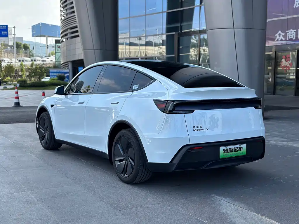 Tesla Model Y — миниатюра 5