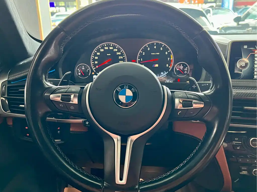 BMW X6 M