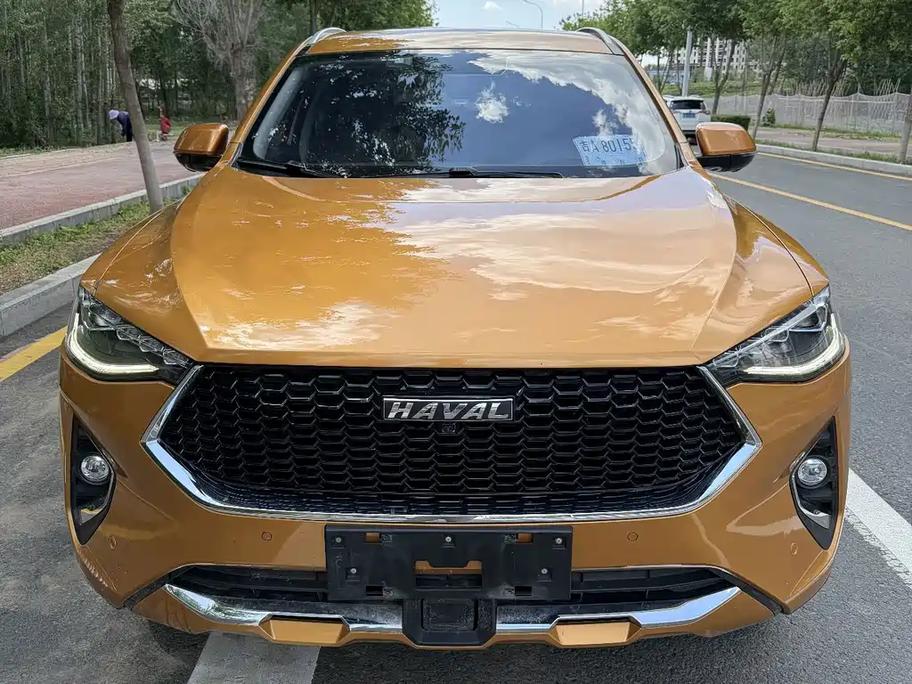 2020 Haval F7 - zdjęcie 1 z 10