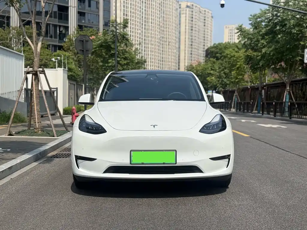 Tesla Model Y — миниатюра 2