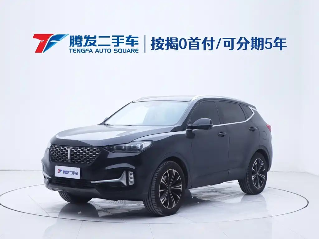 WEI PAI WEI BRAND VV6