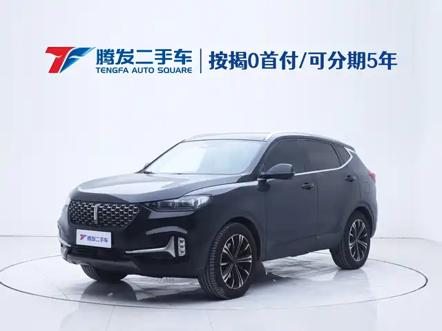 WEI PAI WEI BRAND VV6 2020