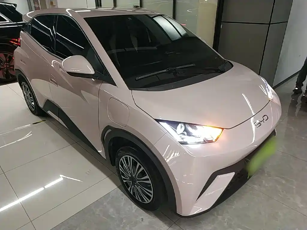 BYD Seagull