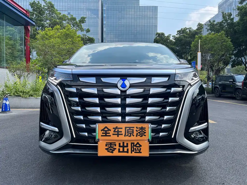 Denza D9