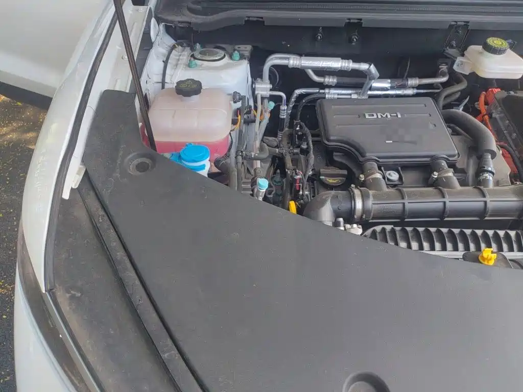 BYD Pro New Energy — миниатюра 21