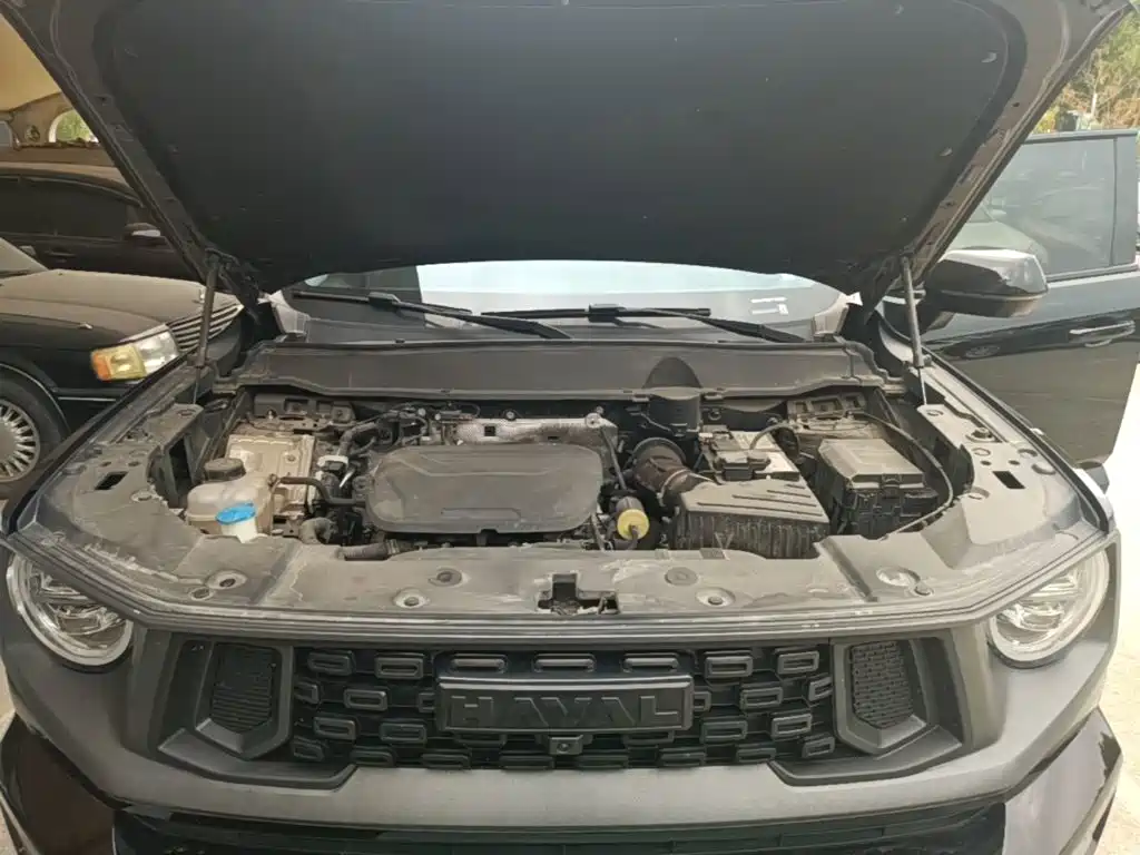 Haval Big Dog PLUS — миниатюра 20