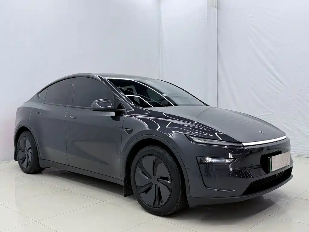 Tesla Model Y — миниатюра 3