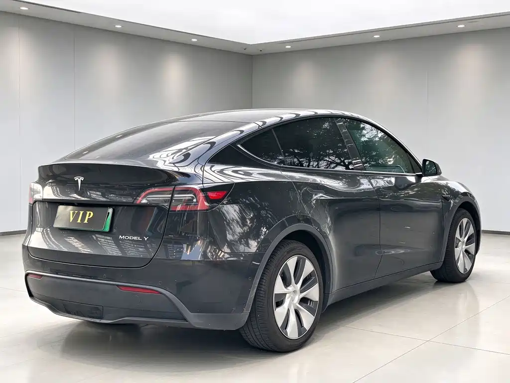 Tesla Model Y — миниатюра 4