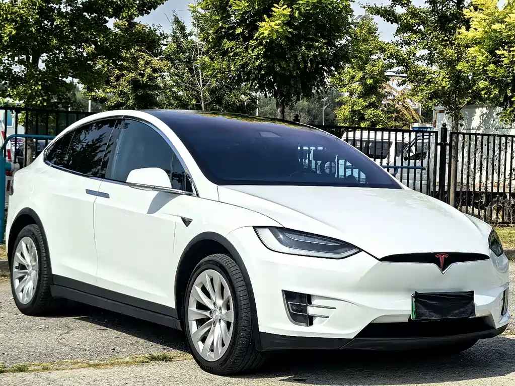 Tesla Model X — миниатюра 3