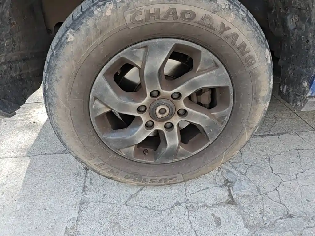 Great Wall Pao — миниатюра 23