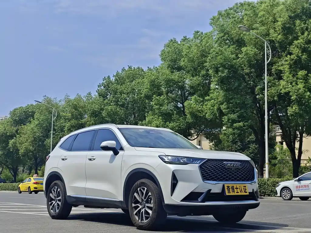 Haval H6 — миниатюра 3