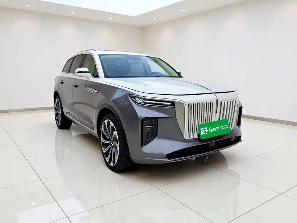 Hongqi Hongqi E-HS9 — миниатюра 3