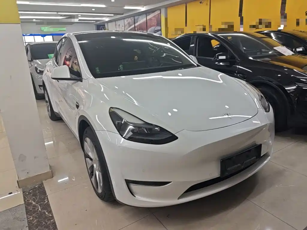 Tesla Model Y — миниатюра 4