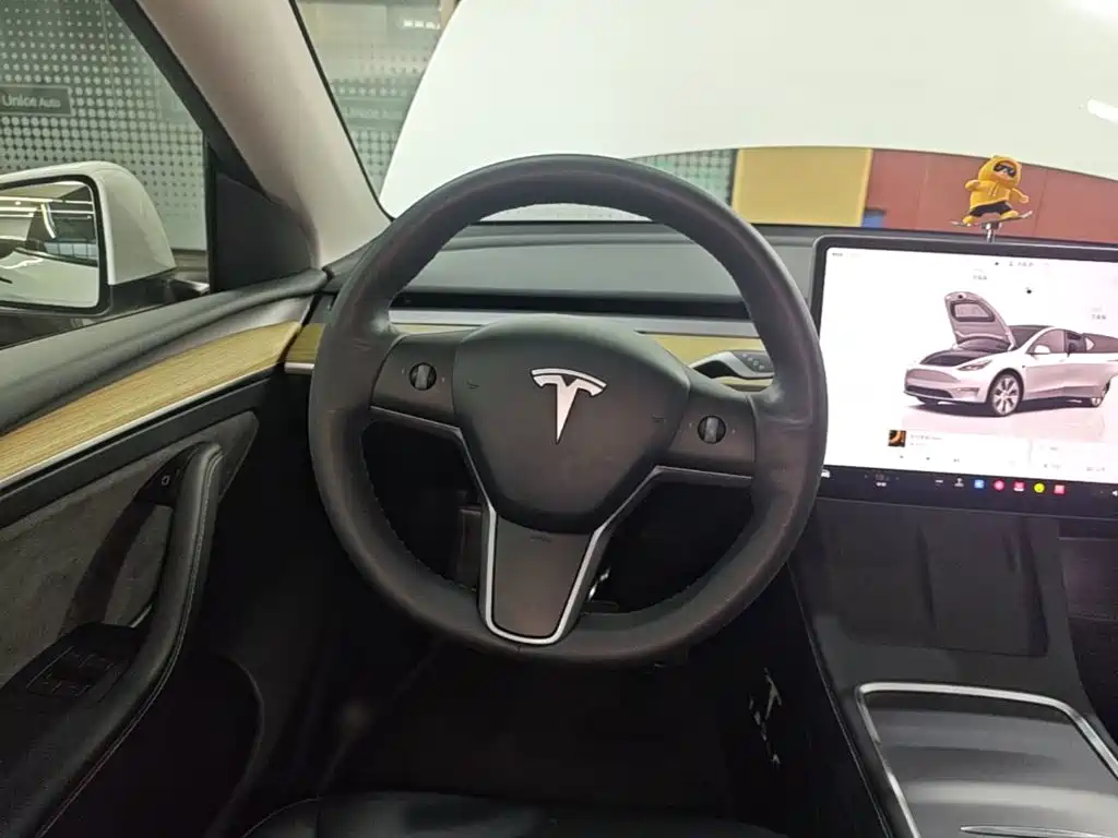 Tesla Model Y — миниатюра 11