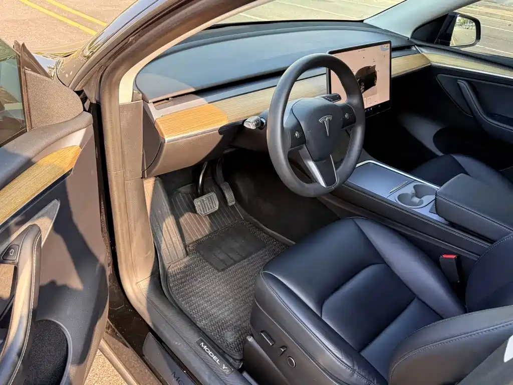 Tesla Model Y — миниатюра 4