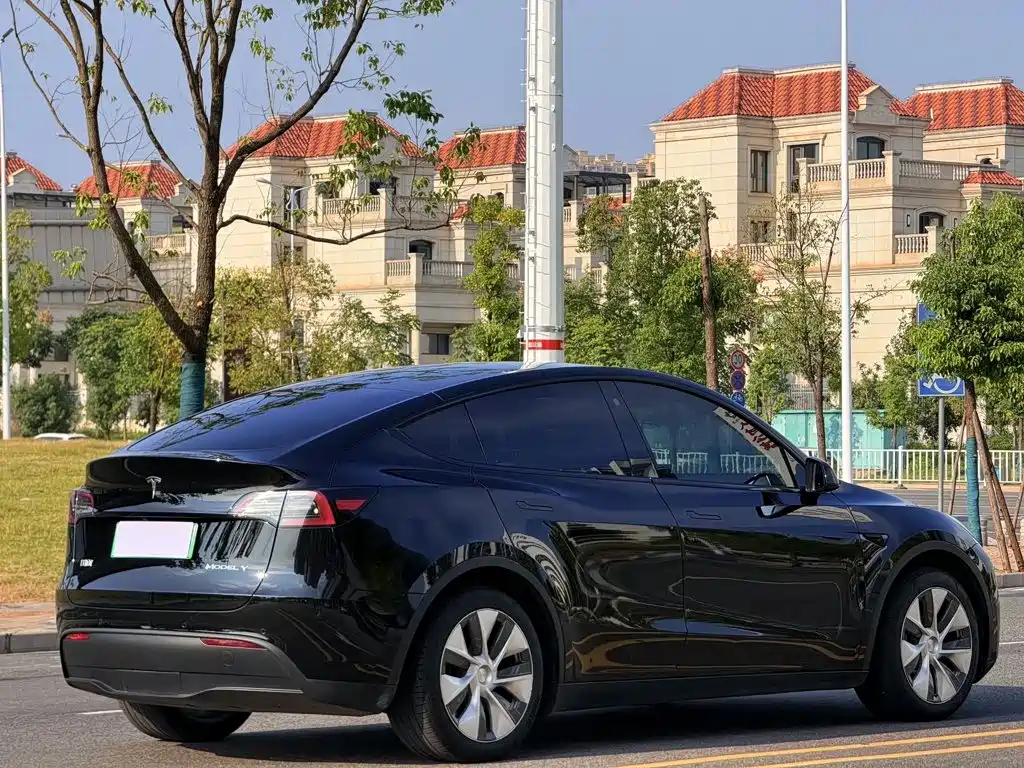 Tesla Model Y — миниатюра 9