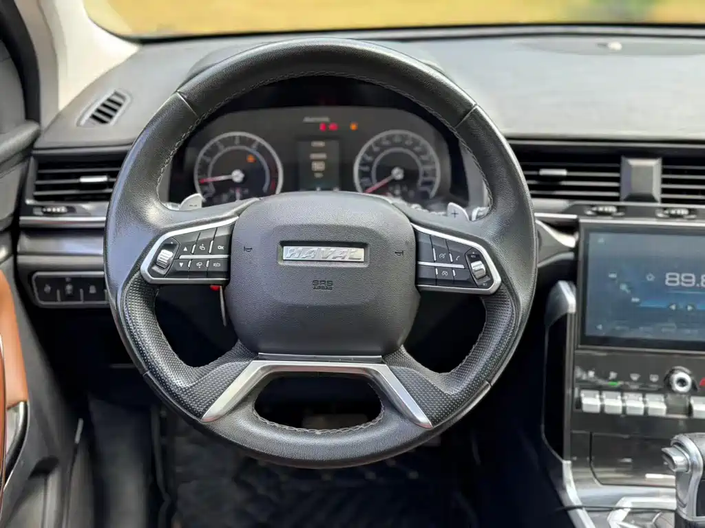 Haval H4 — миниатюра 6