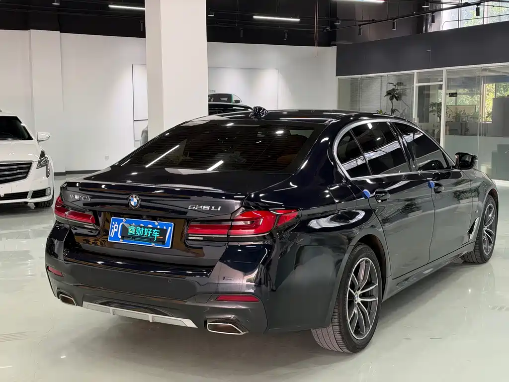BMW 5 Series — миниатюра 10