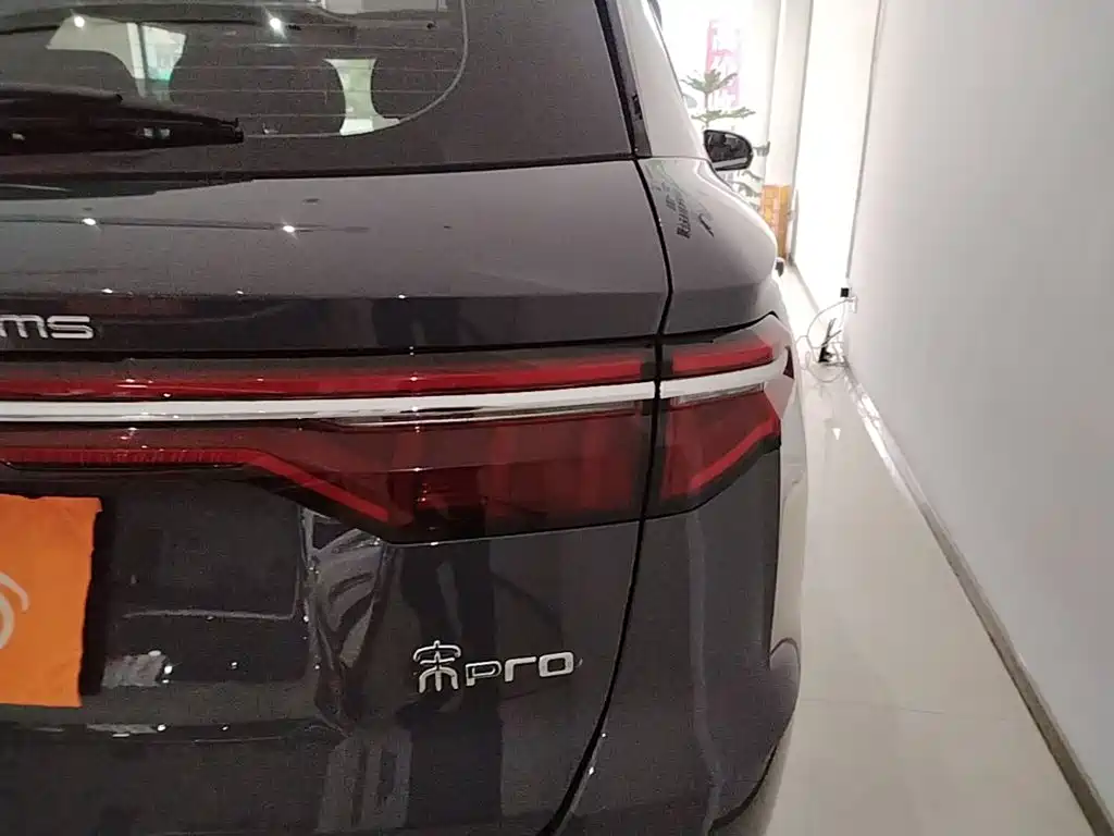 BYD Pro — миниатюра 8