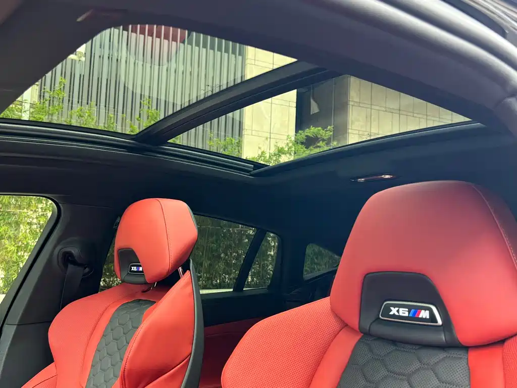 BMW X6 M — миниатюра 13