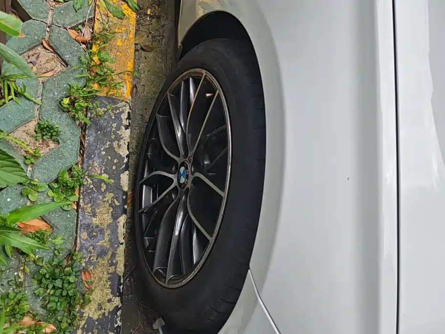 BMW 3 Series 3 2018 320Li M Sport