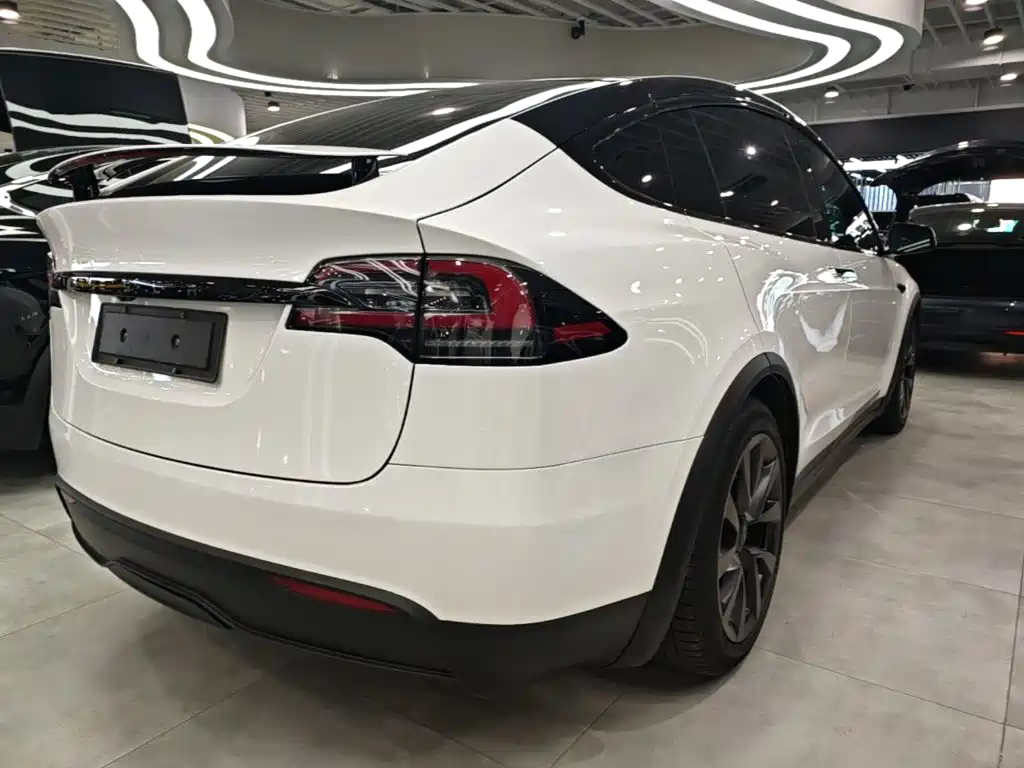 Tesla Model X — миниатюра 5