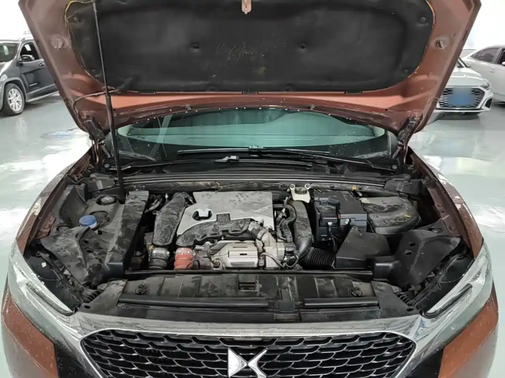 DS DS 6 — миниатюра 20