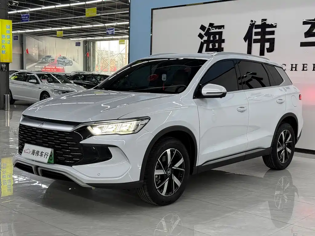 BYD Pro New Energy 2025