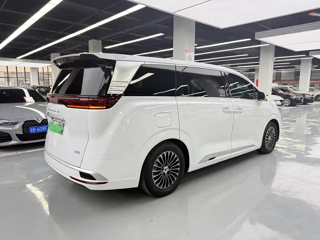 Denza Denza D9 — миниатюра 15