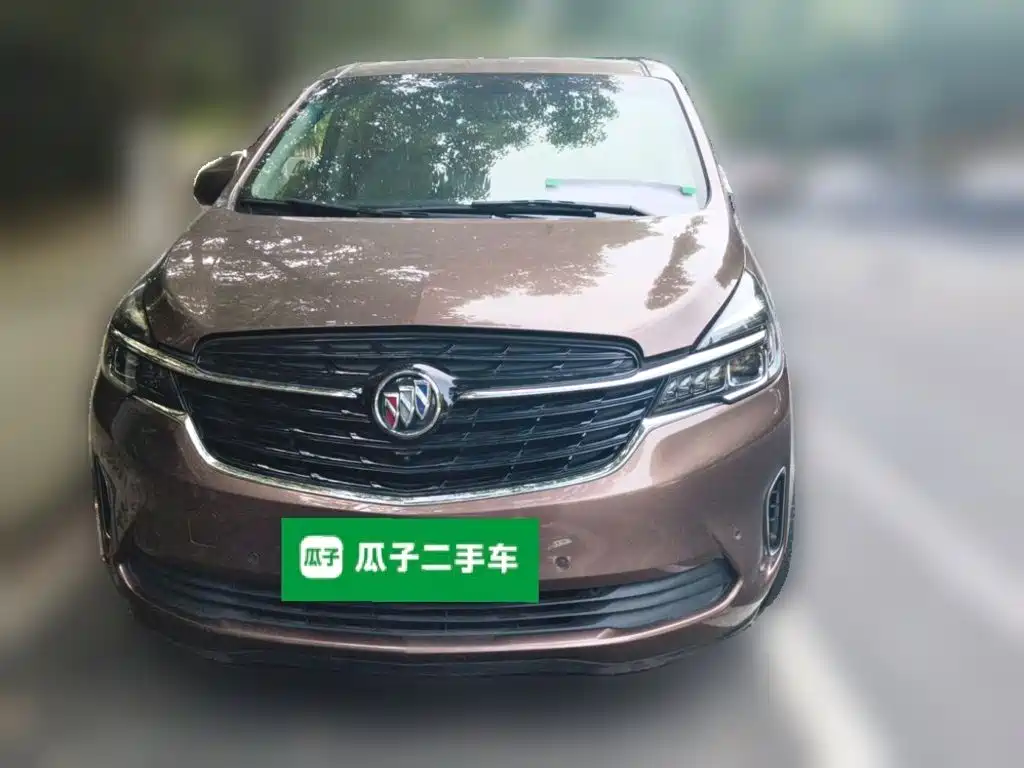 Buick GL8 — миниатюра 3